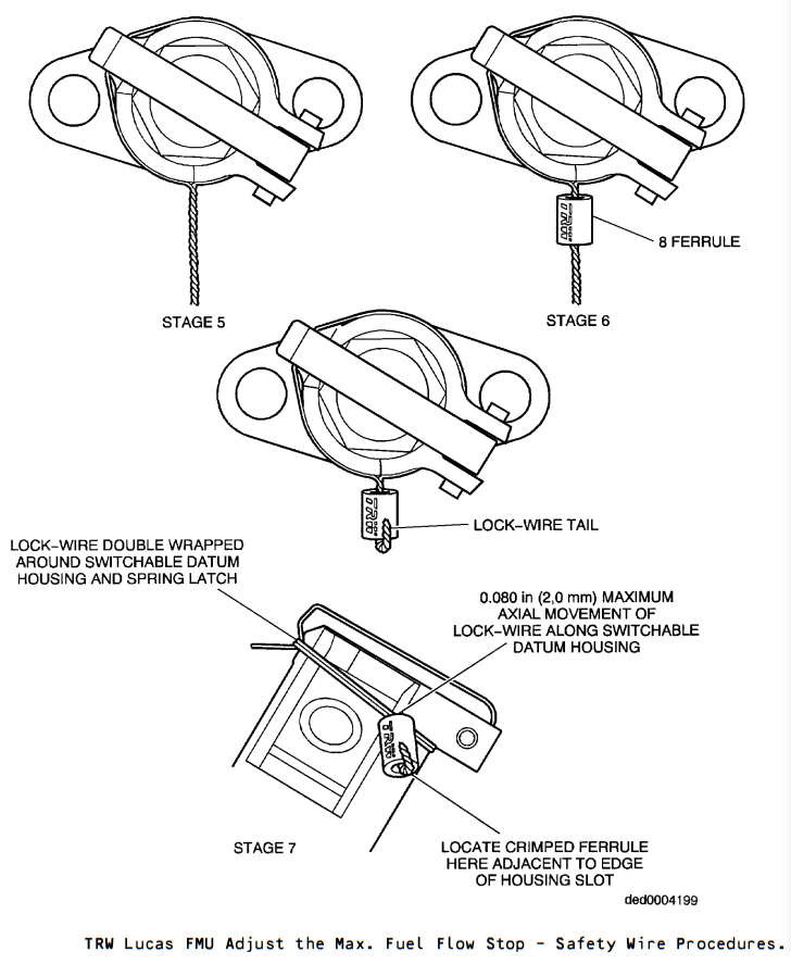  ferrule 